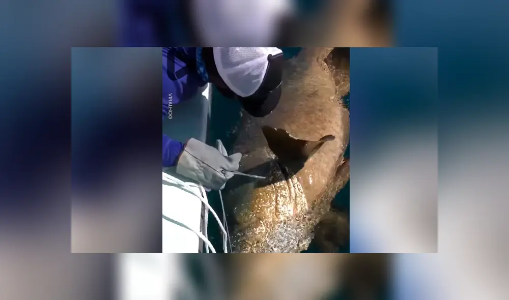 Desliza para ver los momentos más impactantes del aterrador video que se hizo viral en Facebook.