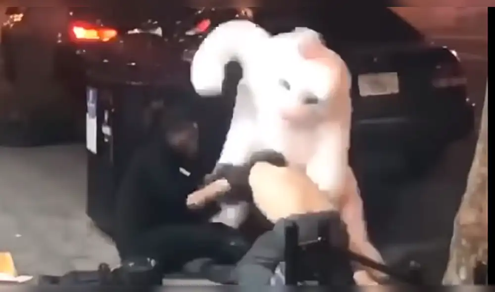 YouTube: 'Conejo de Pascua' salva el día a mujer que era agredida por su novio [VIDEO]