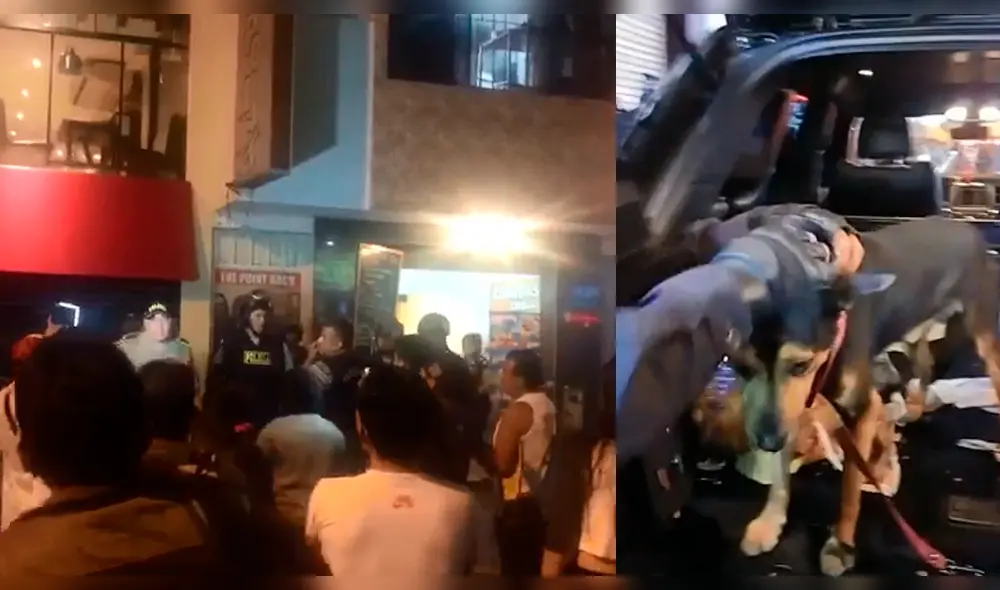 Independencia: Decomisan presunta "carne de perro" en chifa [VIDEO]