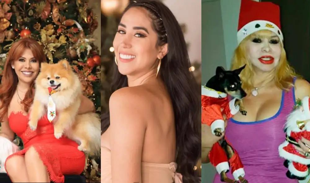 Figuras de la farándula peruana comparten sus planes para Navidad y Año Nuevo. Foto: composición/Instagram