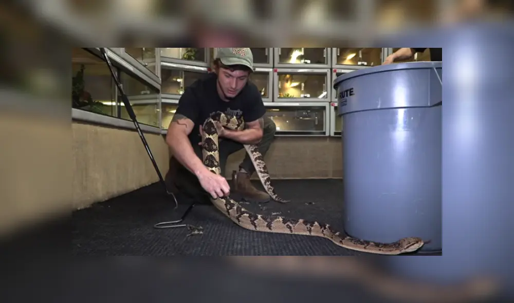 Desliza hacia la izquierda para ver las imágenes del viral de YouTube. Desliza hacia la izquierda para ver las imágenes del viral de YouTube.