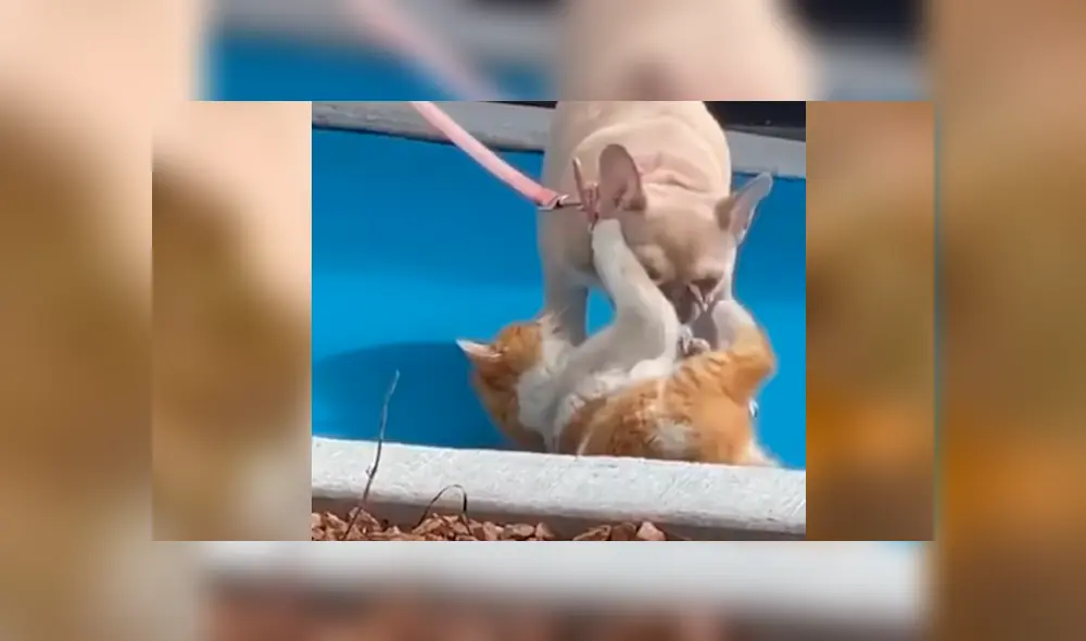 Desliza hacia la izquierda para ver el conmovedor momento que se volvió viral en Facebook.