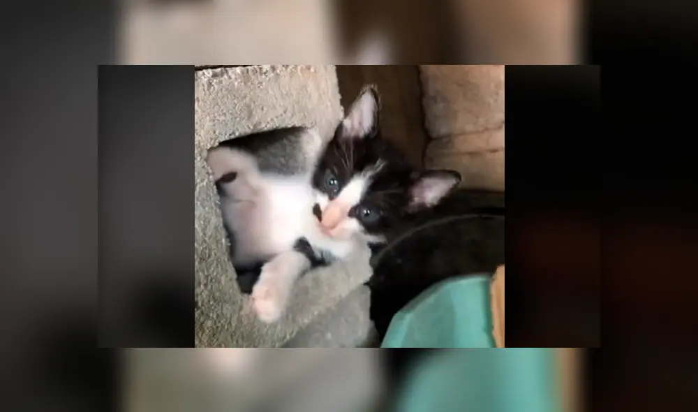 Desliza la imagen de YouTube para verlas todas. Desliza la imagen de YouTube para verlas todas.