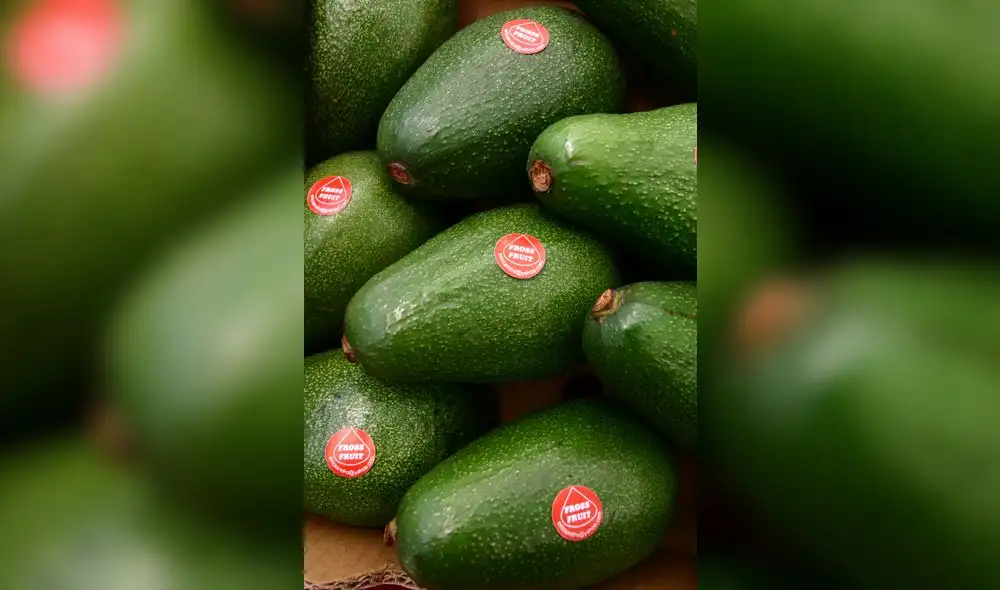 Primeros envíos de palta hass peruana a Tailandia se realizarían desde junio 