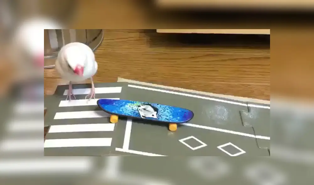 Desliza para ver los detalles del video viral que causa sensación en YouTube. Foto: Captura.