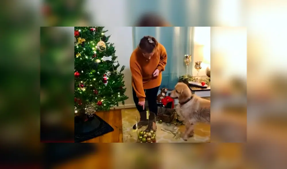 Mientras acompaña a su dueña, el can obedece sus instrucciones y le ayuda a colocar algunos adornos. El curioso episodio se ha hecho viral en Facebook