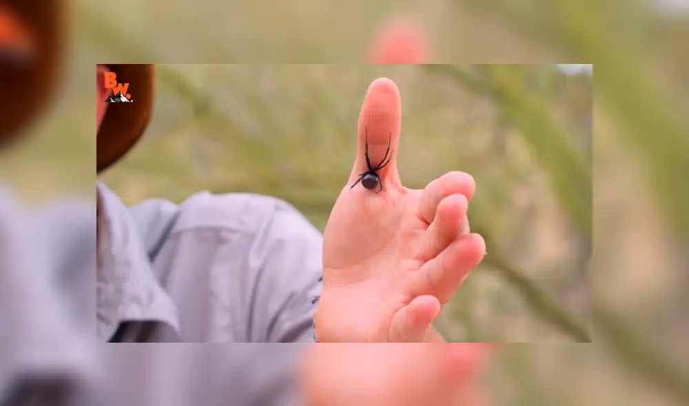 Desliza para ver los momentos más impactantes del aterrador video.