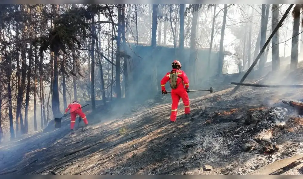 Bomberos controlan incendio forestal en Cajamarca Bomberos controlan incendio forestal en Cajamarca