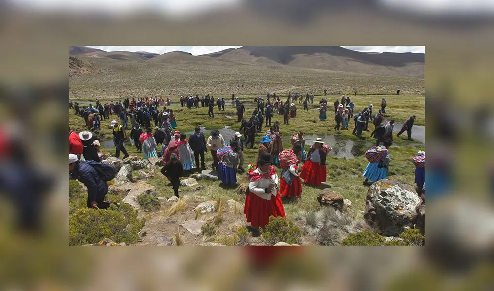 Pobladores temen que el proyecto Vilavilani afecte bofedales. Pobladores temen que el proyecto Vilavilani afecte bofedales.