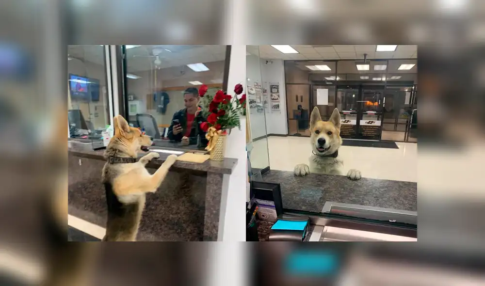 Desliza a la izquierda para conocer esta divertida historia que es viral en Facebook. Foto: Publicación original. Desliza a la izquierda para conocer esta divertida historia que es viral en Facebook. Foto: Publicación original.