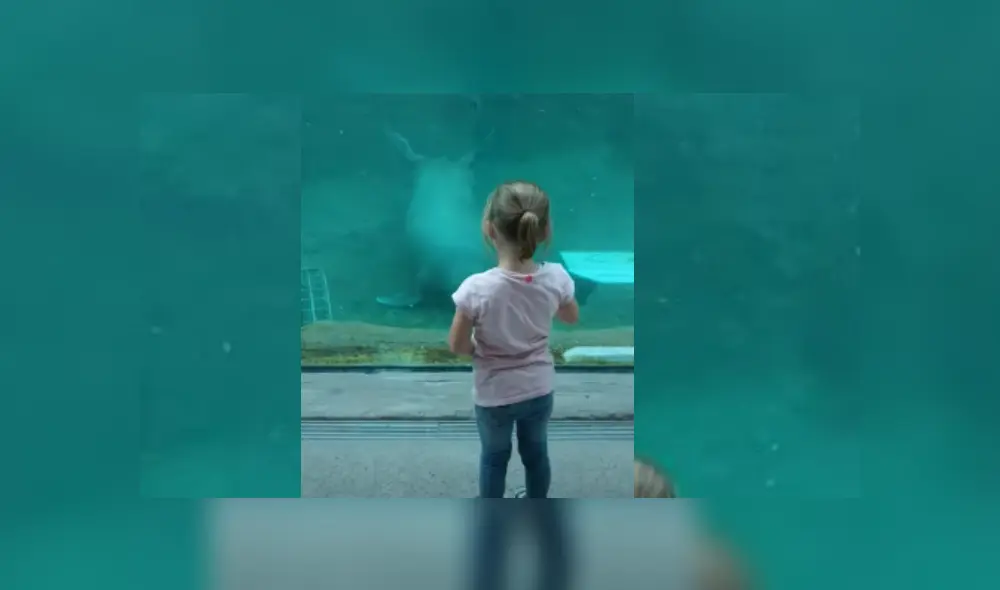 Desliza hacia la izquierda para ver más del video viral. Fotocaptura: YouTube