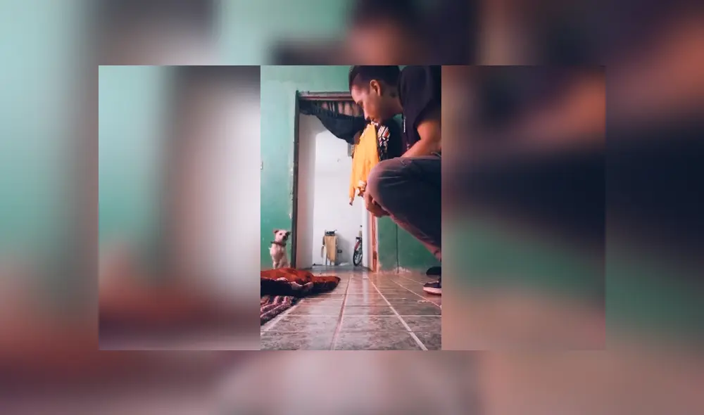 Desliza las imágenes para apreciar la conmovedora escena protagonizada por un joven junto a un perro. Desliza las imágenes para apreciar la conmovedora escena protagonizada por un joven junto a un perro.