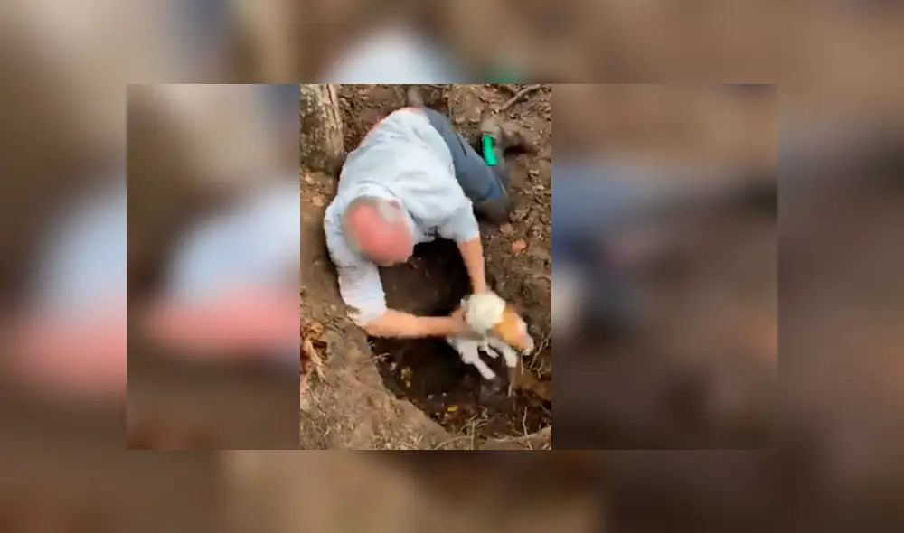 El hombre jamás imaginó que encontraría a su perra enterrada en un profundo hoyo después que esta se perdiera durante un paseo. La emotiva escena se ha hecho viral en Facebook