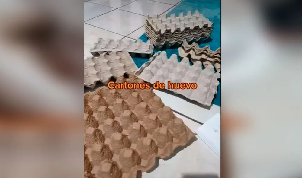 Desliza las imágenes para conocer la ingeniosa idea que tuvo una joven al fabricar un rascador para su gato. Foto: captura de TikTok