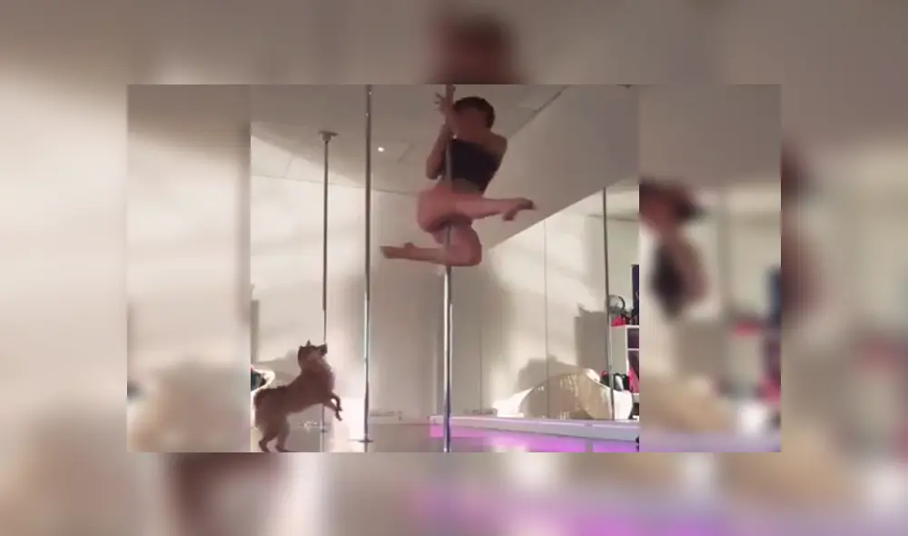 YouTube viral: bella joven hace sexy baile de ‘pole dance’ y su perro le arruina su presentación [VIDEO]