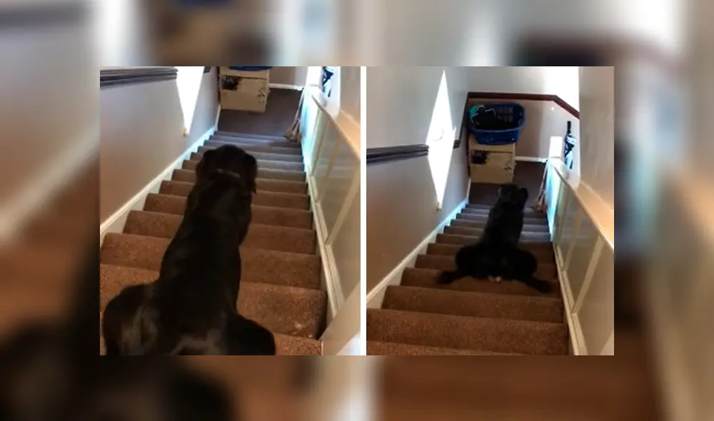 Desliza hacia la izquierda para ver las imágenes del video viral de YouTube.