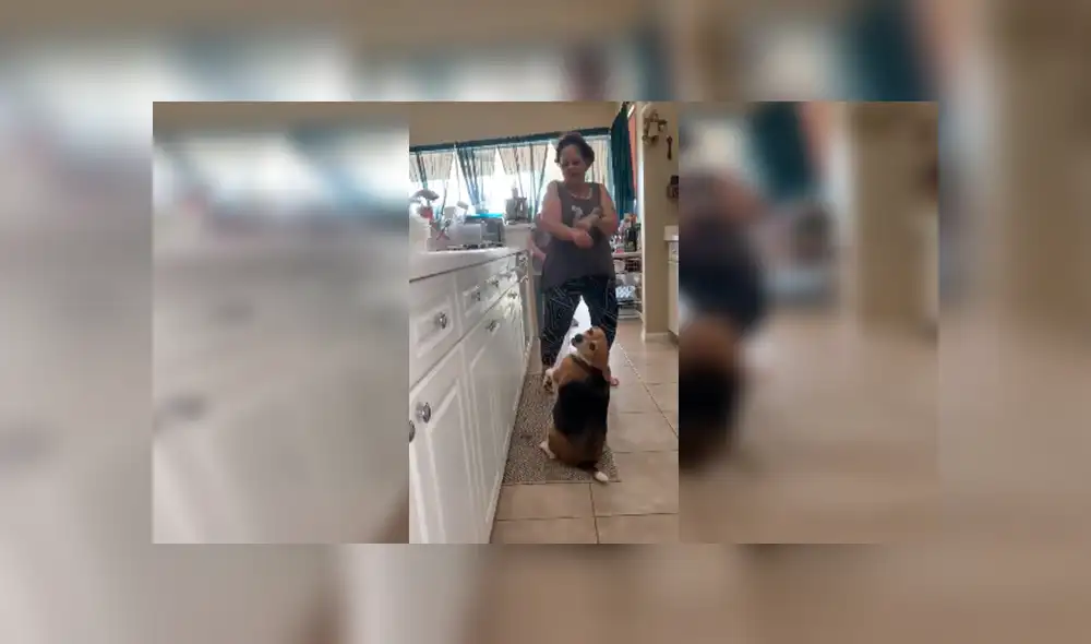 En Facebook, una joven descubrió el momento exacto que su madre y perro bailaron una canción de Sebastián Yatra. En Facebook, una joven descubrió el momento exacto que su madre y perro bailaron una canción de Sebastián Yatra.