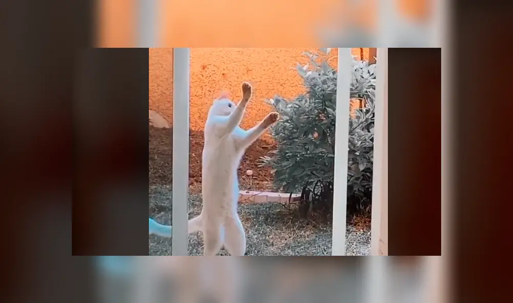 Desliza la imagen de TikTok para ver todas las fotos. Desliza la imagen de TikTok para ver todas las fotos.