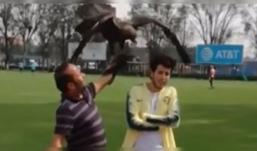 Águila ataca en la cabeza a Sebastián Yatra en sesión de fotos [VIDEO]