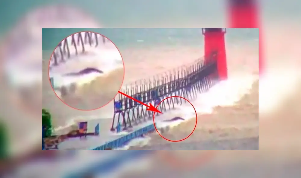 YouTube viral: misteriosa criatura aparece durante una feroz tormenta y su aspecto aterroriza al mundo
