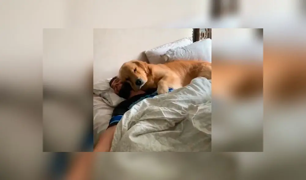 Desliza las fotografías para ver la cautivadora escena que protagonizó la mascota de una joven con su novio. Foto: Captura/Facebook Desliza las fotografías para ver la cautivadora escena que protagonizó la mascota de una joven con su novio. Foto: Captura/Facebook