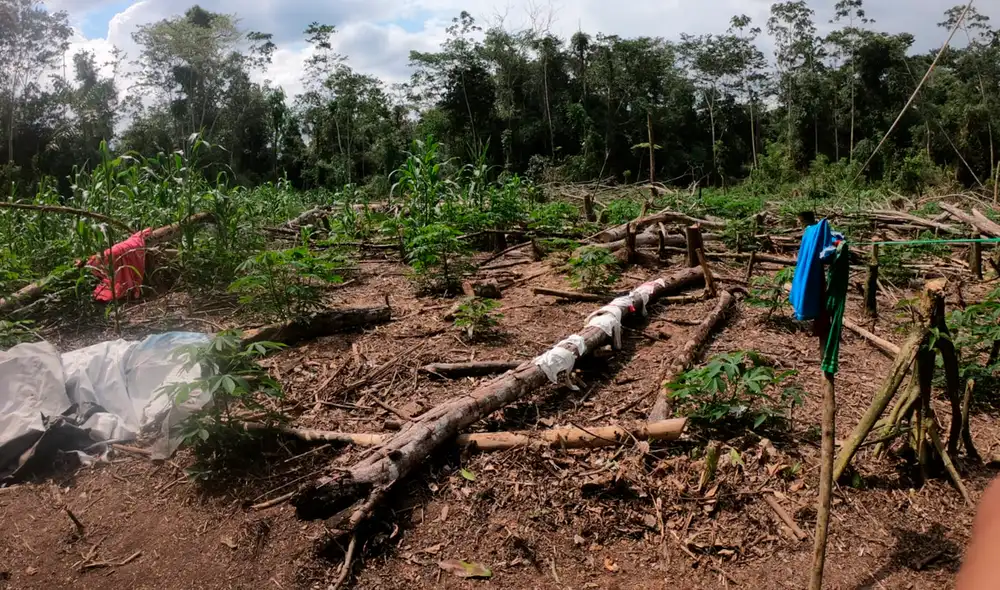 Se halló 420 kilos de drogas. Foto: Ministerio de Defensa