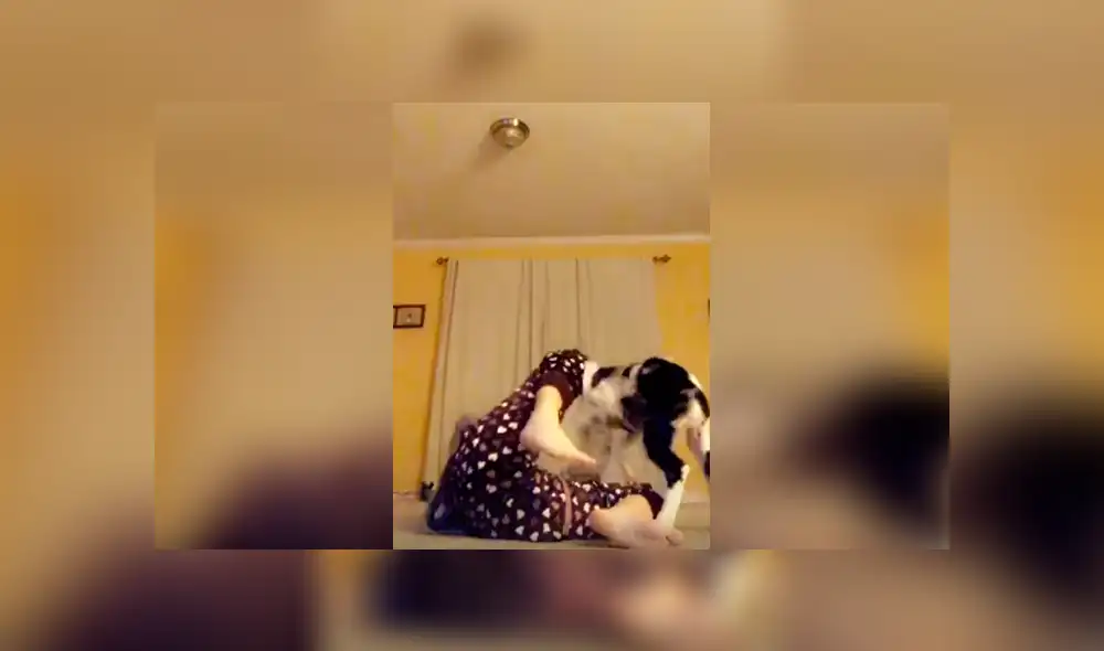 Desliza las imágenes para observar la terrible acción de un perro en plena trasmisión en vivo de su dueña.