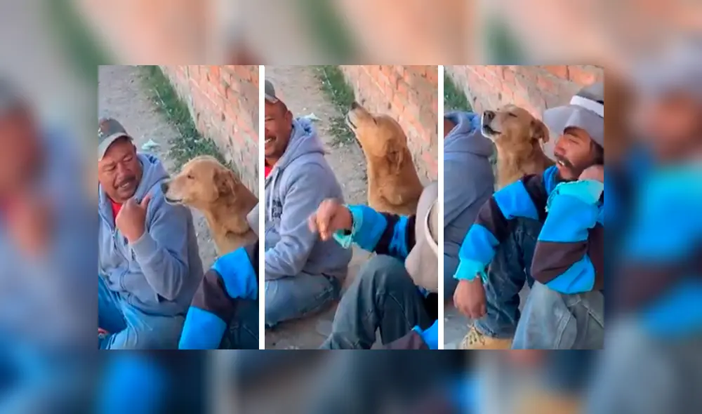 En Facebook, un perro acompañó a unos sujetos que escuchaban música y tomaban bebidas alcohólicas. En Facebook, un perro acompañó a unos sujetos que escuchaban música y tomaban bebidas alcohólicas.