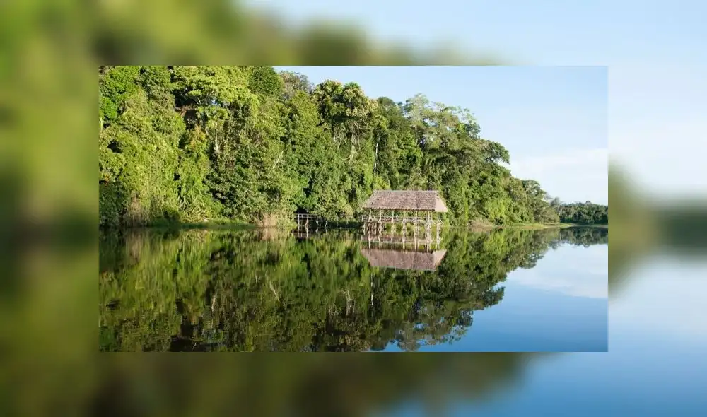 Cuatro comunidades se movilizaron para exigir la atención del Estado. Foto: Andina.