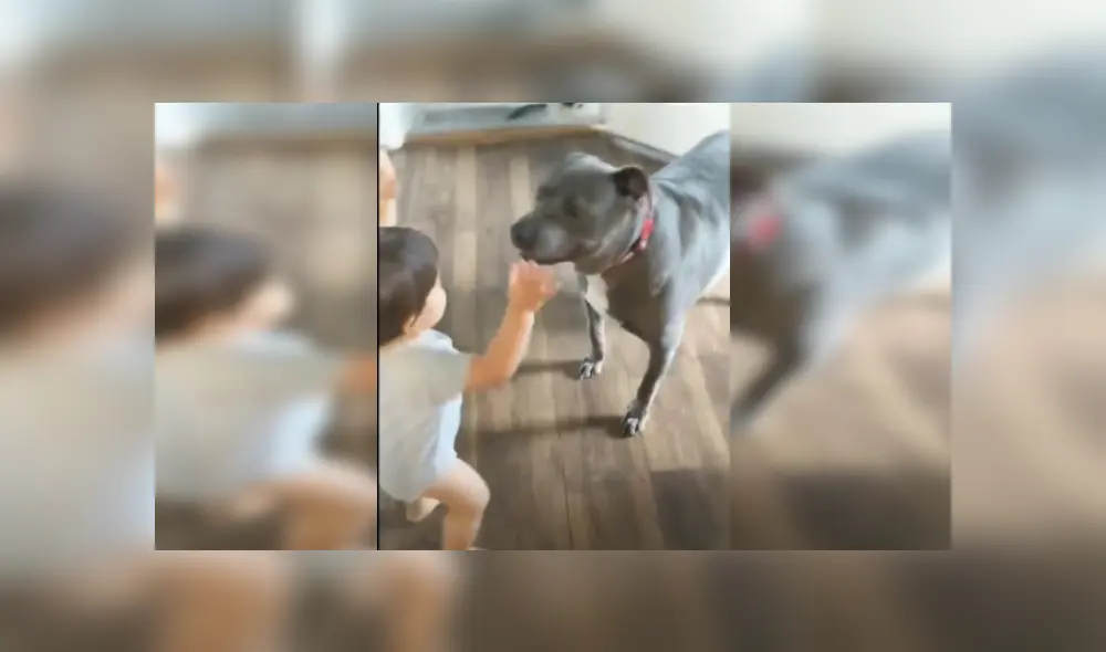 Desliza las imágenes para ver más detalles de esta escena viral de YouTube. Desliza las imágenes para ver más detalles de esta escena viral de YouTube.