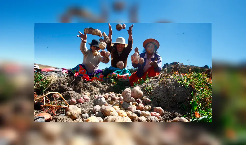 Huancavelica es la primera “región orgánica” del Perú