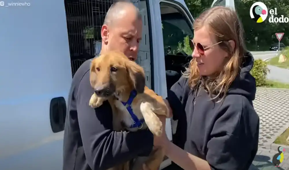 Desliza hacia la izquierda para ver las imágenes del video viral. Foto: capturar de YouTube.