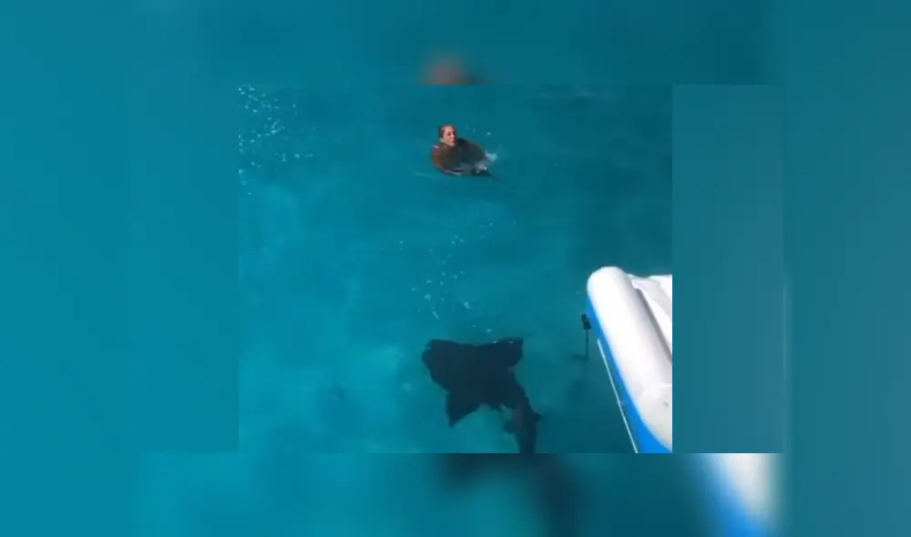 Desliza hacia la izquierda para ver las imágenes del viral de YouTube. Foto: Captura. Desliza hacia la izquierda para ver las imágenes del viral de YouTube. Foto: Captura.