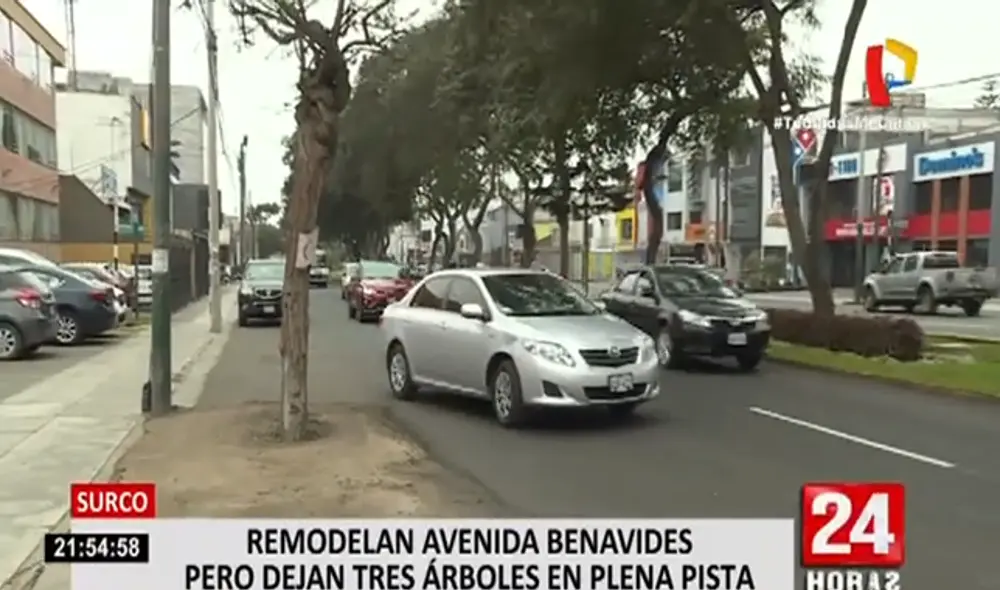 Hasta tres árboles interrumpen el libre tránsito de vehículos en la avenida Benavides. (Foto: Captura Panamerica) Hasta tres árboles interrumpen el libre tránsito de vehículos en la avenida Benavides. (Foto: Captura Panamerica)