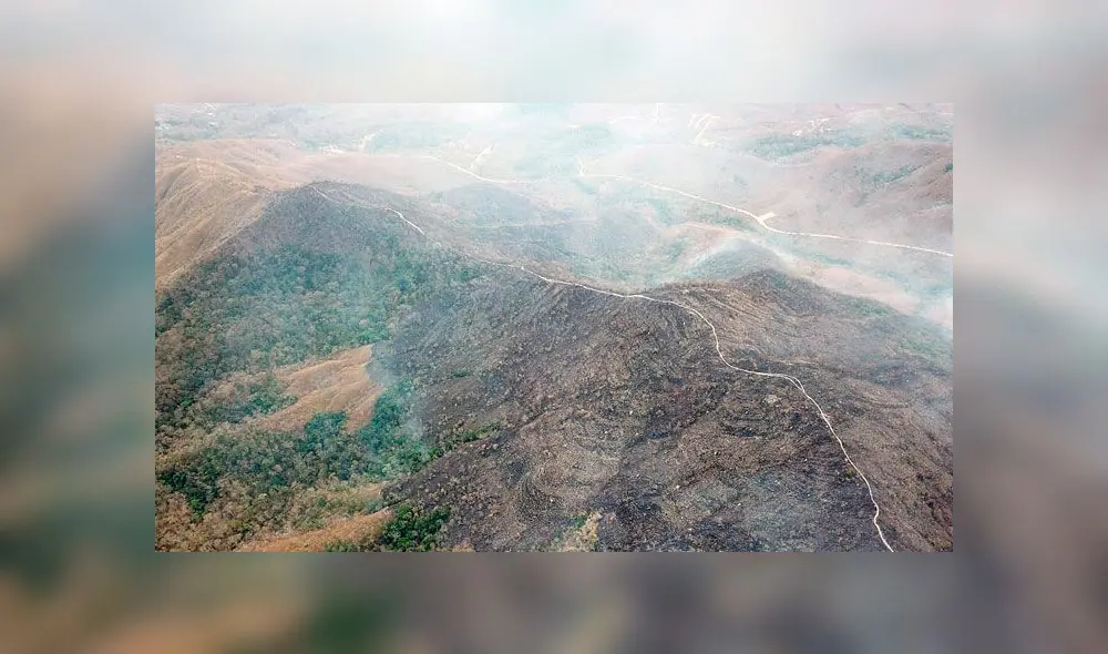 Lluvia Amazonas últimas noticias incendio forestal en Amazonía: llueve gris y clima en selva amazónica de Brasil sufre consecuencias