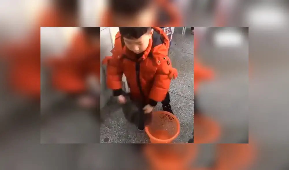 Facebook viral: niño enseña la forma correcta de colocar una bolsa de basura en los tachos [VIDEO]