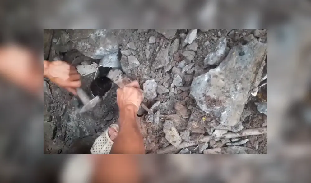 Facebook viral: oye desgarradores ruidos en tubería, la rompe y descubre tres aterradas criaturas [VIDEO]