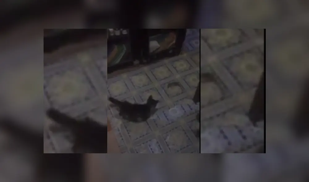 Desliza hacia la izquierda para ver más del video viral Desliza hacia la izquierda para ver más del video viral