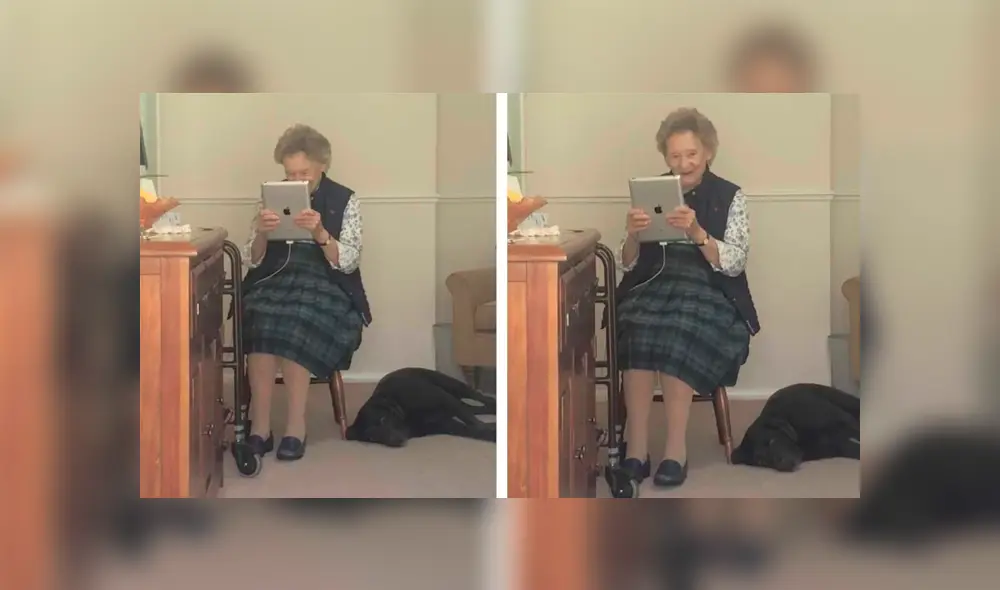 Desliza las imágenes para conocer la reacción de una anciana al recibir un regalo especial de su nieta. Desliza las imágenes para conocer la reacción de una anciana al recibir un regalo especial de su nieta.