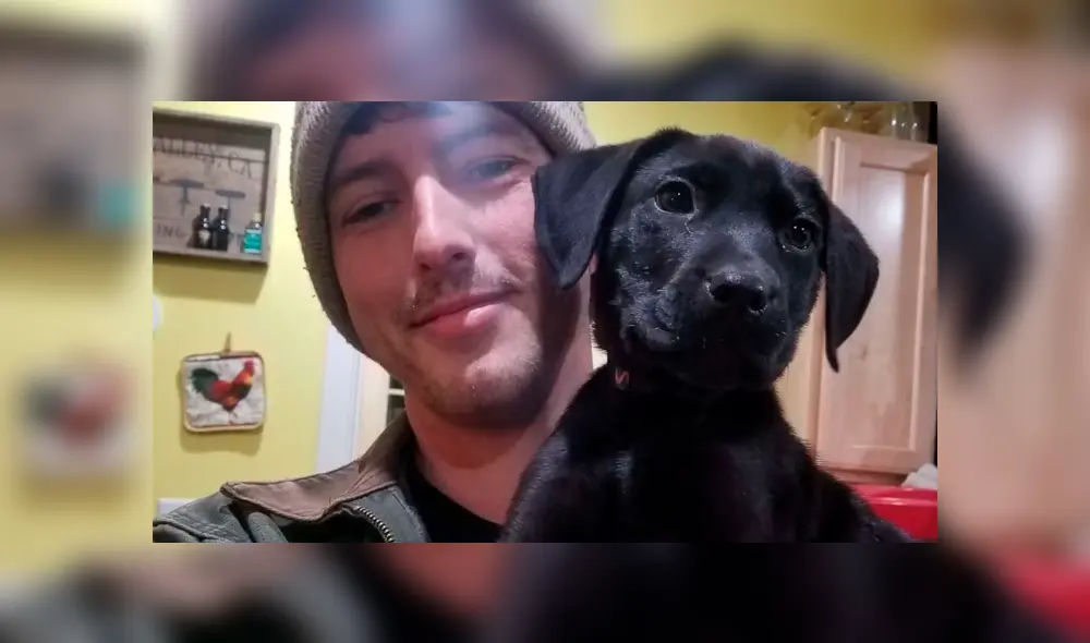 Desliza para ver todas las imágenes de Facebook. Foto: captura Desliza para ver todas las imágenes de Facebook. Foto: captura