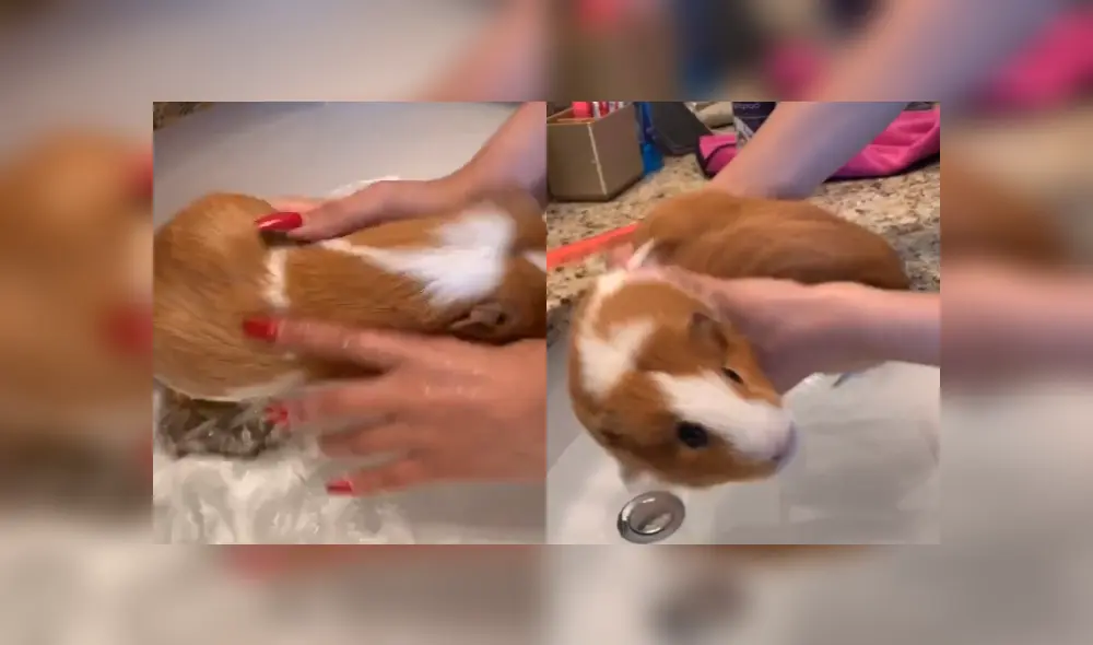 Desliza las imágenes para ver más detalles de esta escena que es viral en TikTok. Desliza las imágenes para ver más detalles de esta escena que es viral en TikTok.