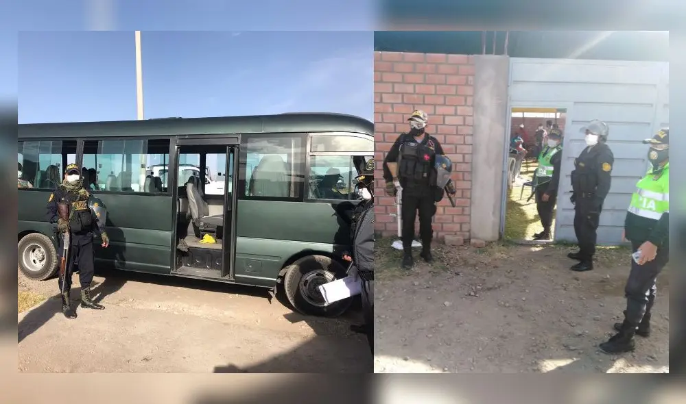 Arequipa. 45 personas son detenidos por realizar pelea de gallos en cuarentena