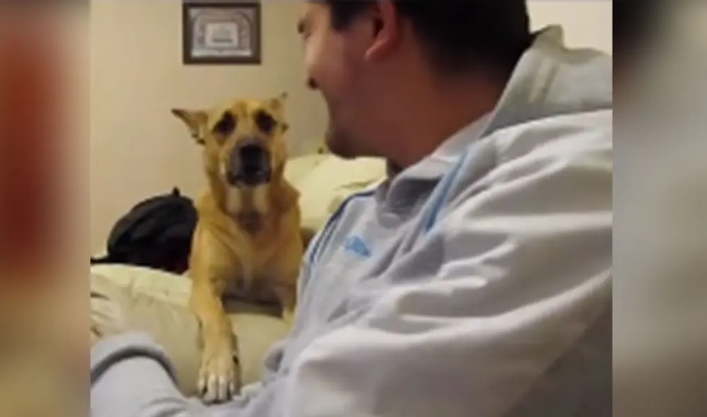 Desliza las imágenes para ver más detalles sobre esta entretenida 'conversación' entre un perro y su amo. Foto: captura de TikTok Desliza las imágenes para ver más detalles sobre esta entretenida 'conversación' entre un perro y su amo. Foto: captura de TikTok