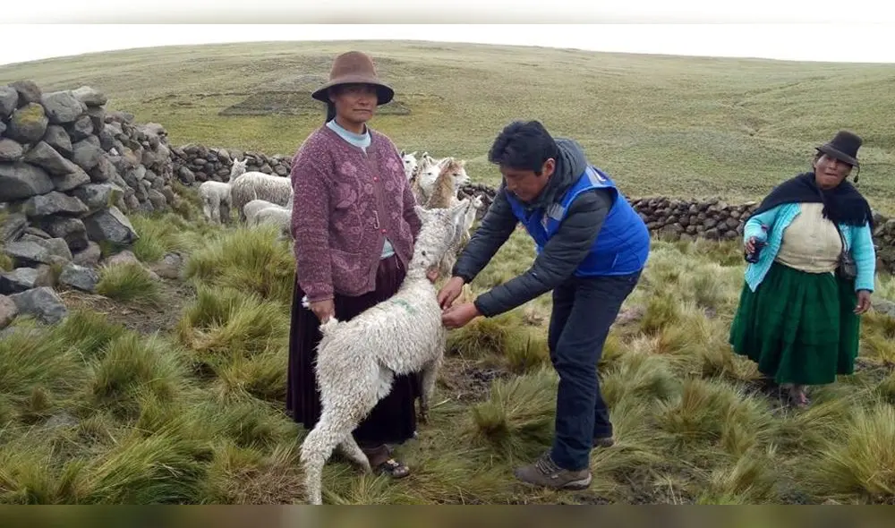 Entregan kits para prevenir enfermedades en animales. Entregan kits para prevenir enfermedades en animales.