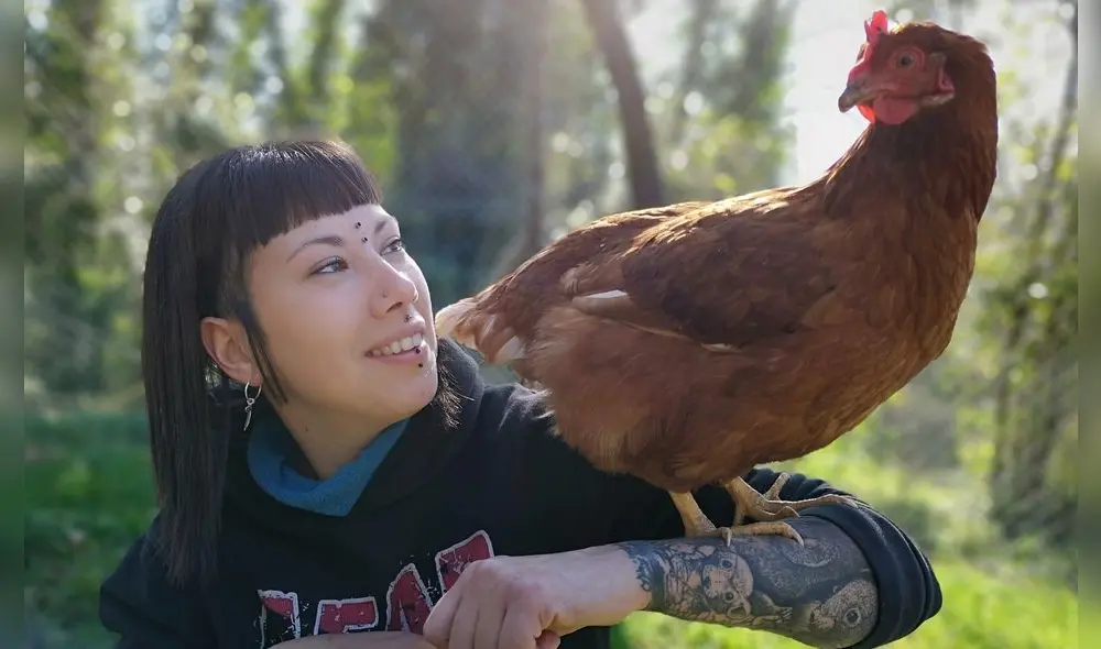 ‘Almas veganas’ se volvió tendencia en los últimos días por defender a las gallinas de su santuario. Foto: Facebook. ‘Almas veganas’ se volvió tendencia en los últimos días por defender a las gallinas de su santuario. Foto: Facebook.
