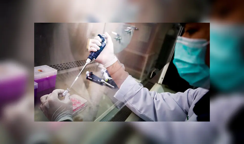 Foto: Diego Azubel / EFE Foto: Diego Azubel / EFE