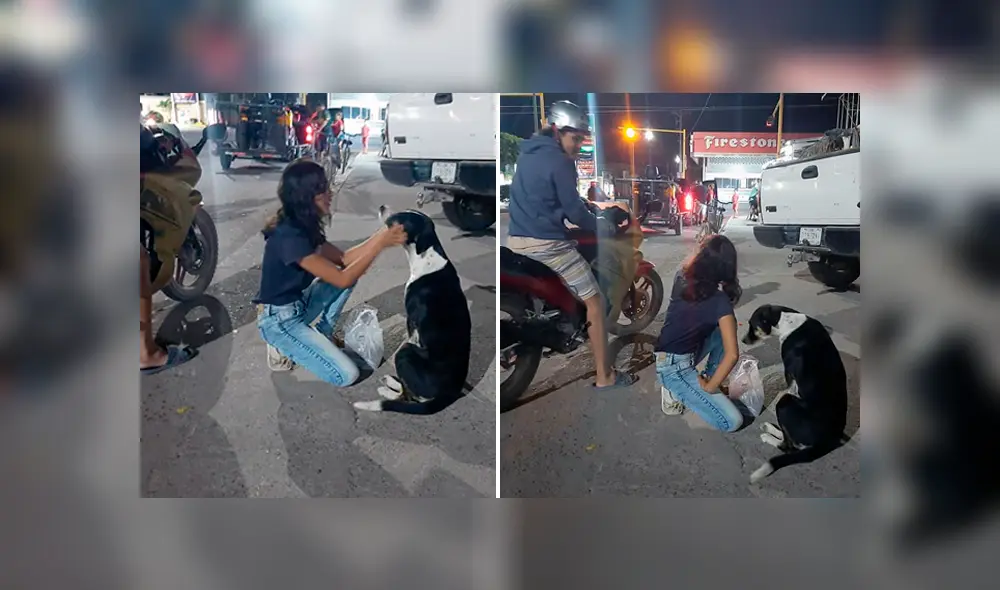 Desliza las imágenes para conocer la generosa acción de una pareja de novios con unos animales callejeros. Desliza las imágenes para conocer la generosa acción de una pareja de novios con unos animales callejeros.