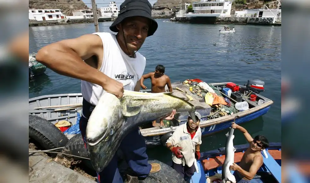 Oficializan norma para que los pescadores puedan retirar el 90% de su CTS