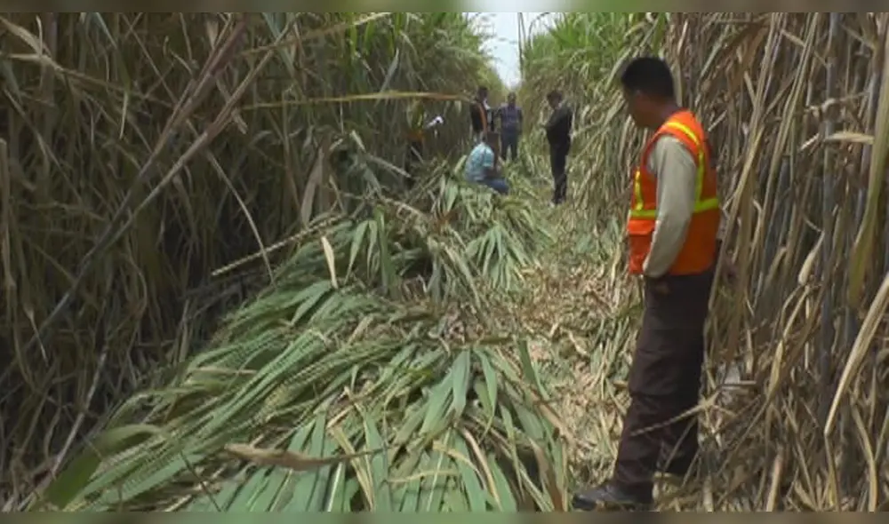 Víctima se encontraba dormida en zona.