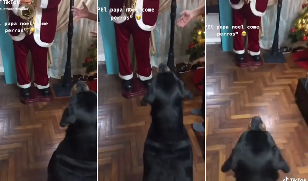 Desliza las imágenes para conocer más detalles sobre esta graciosa escena que se hizo viral en redes sociales. Foto: captura de TikTok